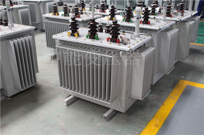 鹰潭S22-100KVA/10KV/0.4KV变压器